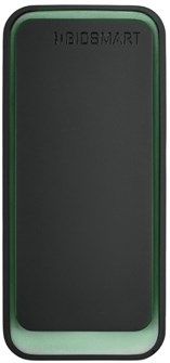 Считыватель  BioSmart SK-RD 133332