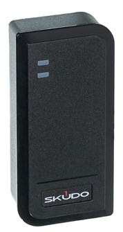 Считыватель  Skudo SK-RP300EHM 133557