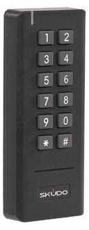 Считыватель  Skudo SK-RC501KTD 133566