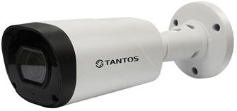 Видеокамера  Tantos TSc-P1080pUVCv 134141