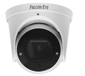Видеокамера IP Falcon Eye FE-IPC-D2-30p 134382