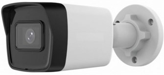 Видеокамера IP iFlow F-IC-1141M(2.8mm) 134523