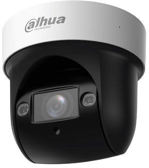 Видеокамера IP Dahua DH-SD29204DB-GNY 135254