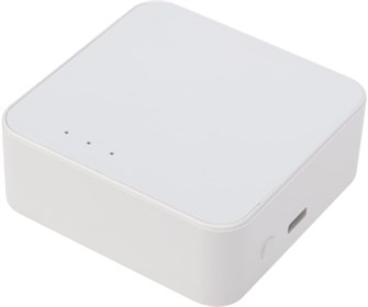 Шлюз  SECURIC SEC-GT-101 136893