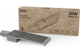 Светильник уличный Gauss 629534230 152970