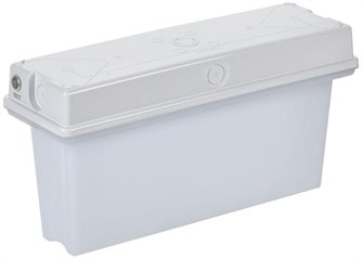 Светильник аварийного освещения IEK LSSA1-1010-3-65-K01 153328