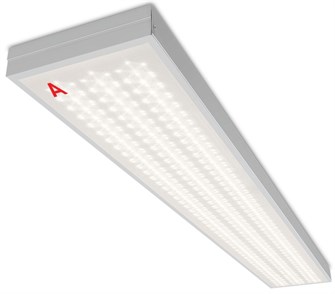 Светильник светодиодный WOLTA ДПО11-54-142-6К 153897