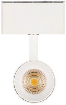 Светильник  Arlight MAG-SPOT-45-R85-12W Day4000 153975