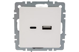 Розетка  IEK BR-U22-018-K01 157038