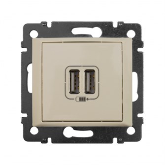 Зарядное устройство  Legrand 774170 157089