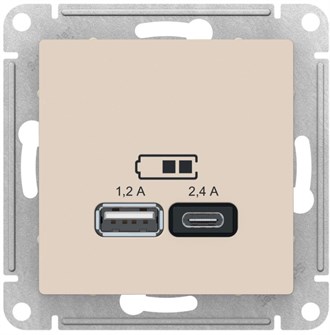 Розетка USB  Systeme Electric ATN000239 157125