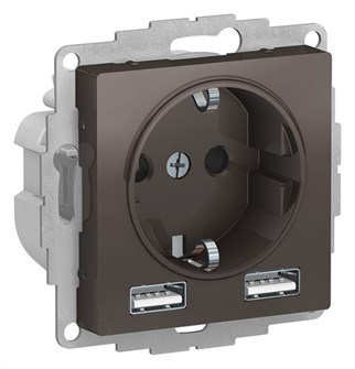 Розетка с заземлением с 2 USB  Systeme Electric ATN000630 157222
