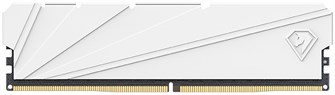 Модуль памяти DDR4 16GB Netac NTSSD4P32SP-16W 107801