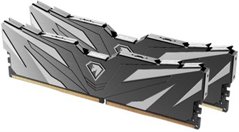 Модуль памяти DDR5 32GB (2*16GB) Netac NTSWD5P48DP-32K 108338