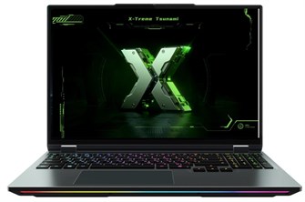 Ноутбук  Maibenben X-Treme Tsunami X16E-R99558 16 