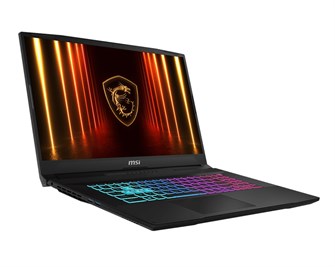 Ноутбук  MSI Katana 17 HX B14WGK-274XRU 17.3 