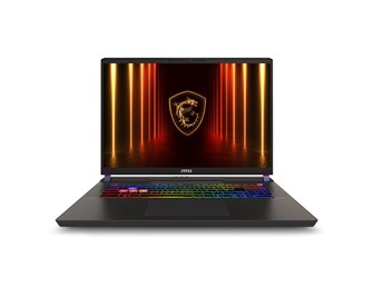 Ноутбук  MSI Vector 17 HX AI A2XWHG-240XRU 17 