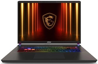 Ноутбук  MSI Vector 17 HX AI A2XWJG-062RU 17 