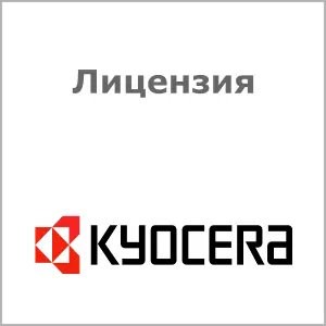 Лицензия  Kyocera UG-41 118988