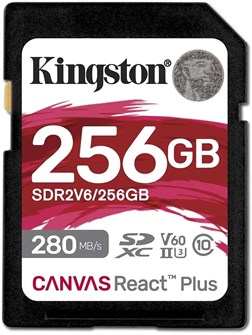 Карта памяти SDXC 256Gb Kingston SDR2V6/256GB 122115