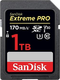 Карта памяти SDXC 1TB SanDisk SDSDXXY-1T00-GN4IN 122148