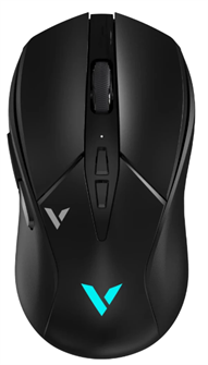 Мышь wireless Rapoo V300L 123031