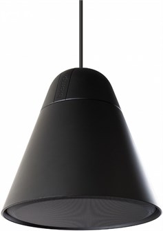 Акустическая система  BIAMP P30DT-BL 125284