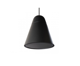 Акустическая система  BIAMP P60DT-BL 125293