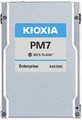 Накопитель SSD 2.5'' Toshiba (KIOXIA) KPM71VUG3T20 3200 ГБ 103633