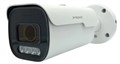 IP камера  IPTRONIC IPT-IPL1920BMA(2,7-13,5)P 134945