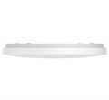 Светильник потолочный Xiaomi Mi Smart LED Ceiling Light 136943