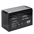 Батарея для ИБП PROMETHEUS ENERGY РЕ12100L 100499