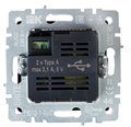 Розетка USB  IEK BR-U21-D31-K46 157018