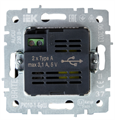 Розетка USB  IEK BR-U21-D31-K37 157019
