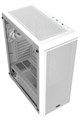 Корпус ATX Raijintek ARCADIA 41 105988