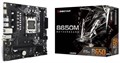 Материнская плата mATX Biostar B650MS2-E 107201