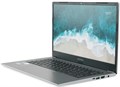 Ноутбук  Nerpa Caspica I752-14 14 ", Core i7, 32 Гб RAM, 512 Гб SSD, Iris Xe Graphics, Серый 113666
