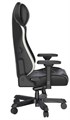Кресло игровое DxRacer GC/XLMF24LTA/NW 119537