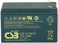 Аккумулятор  CSB EVX 12120 100138