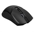Мышь Wireless Razer Cobra Pro 123240