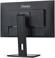 Монитор 23,8" Iiyama ProLite XUB2492HSN-B5 124349