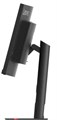 Монитор 34" Lenovo ThinkVision T34w-30 124444