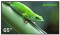 Панель  Geckotouch 65DF 125739
